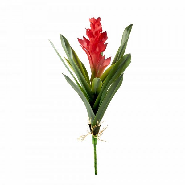 plantas-na-decoraca-bromelia-vermelha-sottile-casa